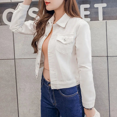H7ff84cdd859e447e80298af7660cc951Q